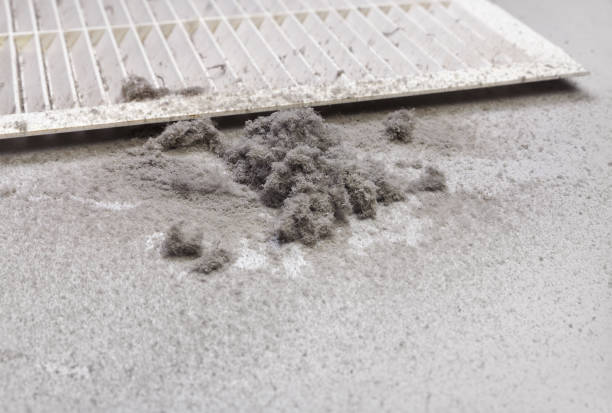 Best Ventilation Cleaning Services  in Colfax, IA