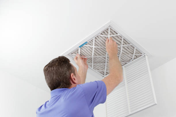 Best Affordable Air Duct Cleaning  in Colfax, IA